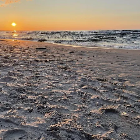 Morze Sztuki Ii, ヤンタル