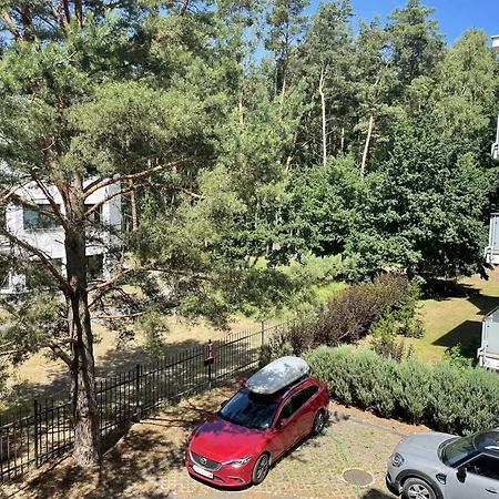 Morze Sztuki Ii, ヤンタル