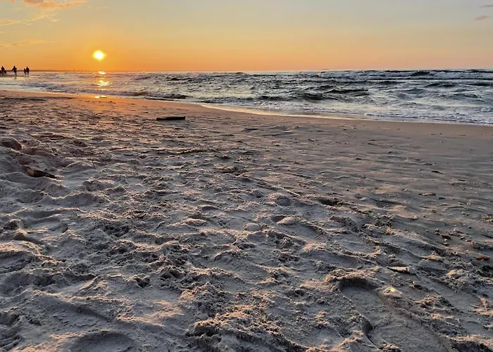 Morze Sztuki Ii, Янтар