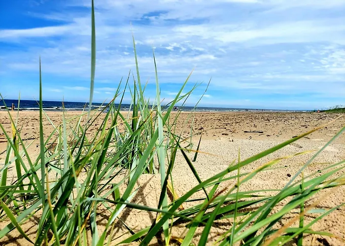 Morze Sztuki Ii, Апартаменты