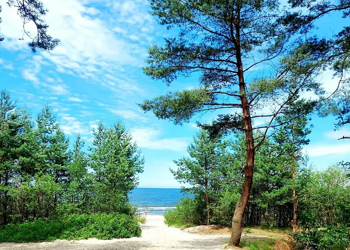 Morze Sztuki Ii, Апартаменты